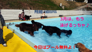 060.bmp